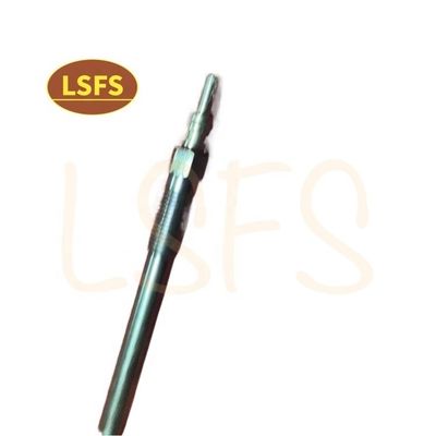 OEM NO C00046448 오토 엔진 부품 히터 플러그 광 플러그 Maxus LDV V80 VI
