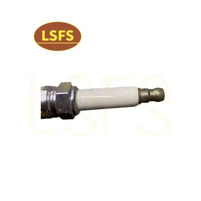 OEM 10162965 맥스 G10 2.0T 하이 스탠더드용 스파크 플러그