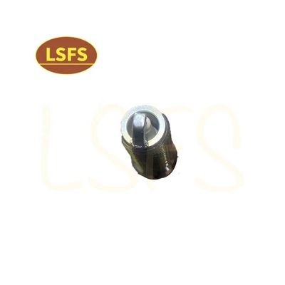 OEM 10162965 맥스 G10 2.0T 하이 스탠더드용 스파크 플러그