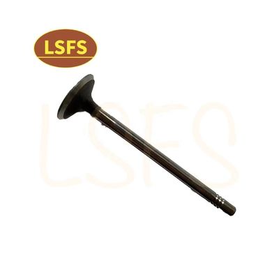 G10 MPV Maxus D90 G20 T60 OEM C00111120용 맞춤식 흡입 밸브